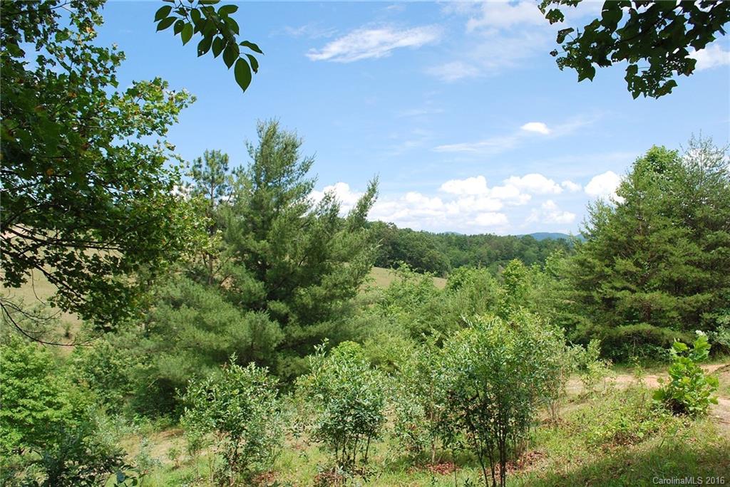 60 Snelson Road Alexander, NC 28701 - Photo 17 of 24 Gallery Image 17