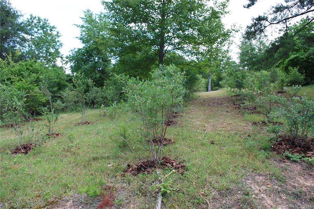60 Snelson Road Alexander, NC 28701 - Photo 6 of 24 Gallery Image 6