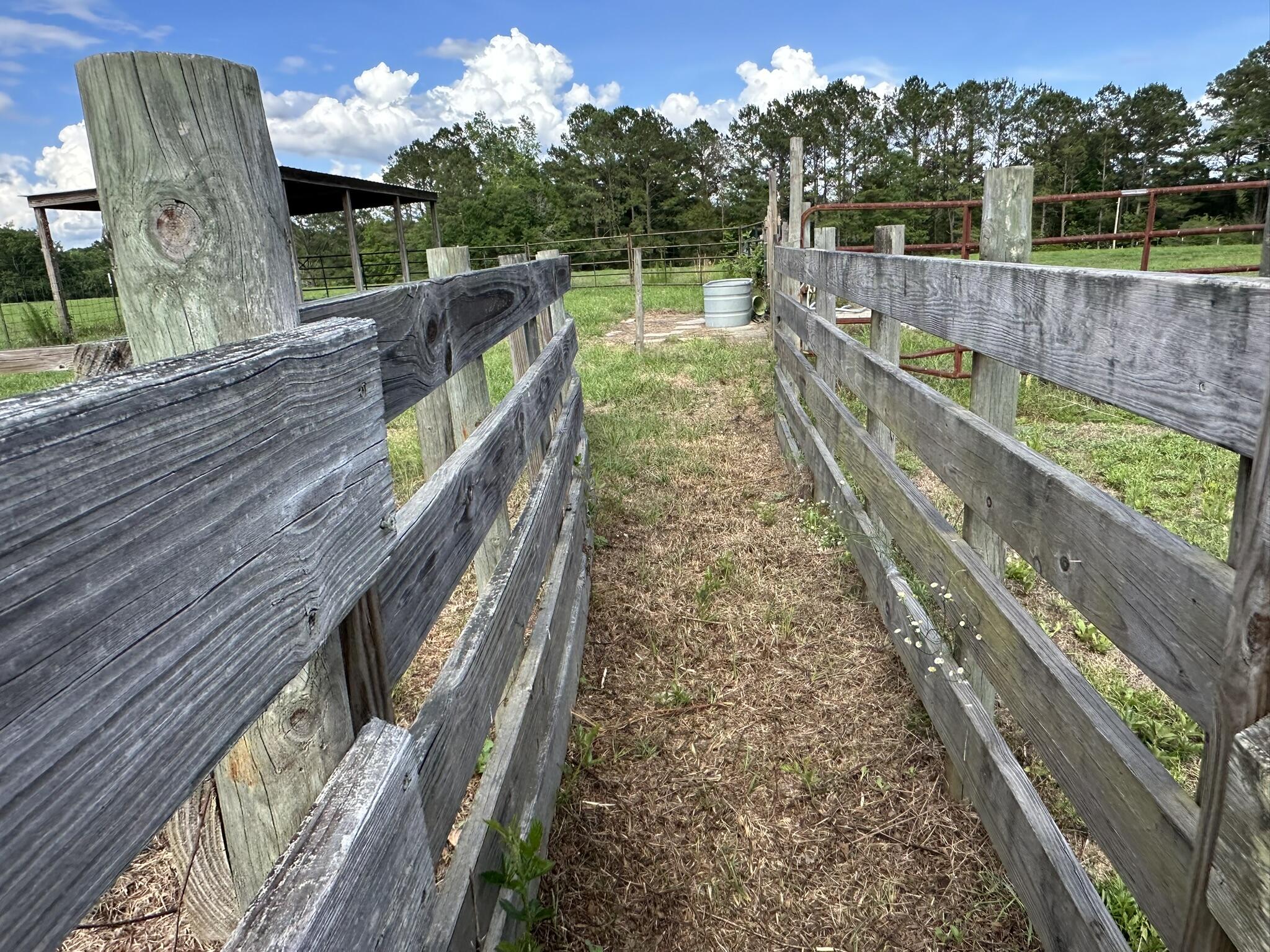20 / New Ebenezer Road Florala, AL 36442 - Photo 26 of 46 IMG_0099