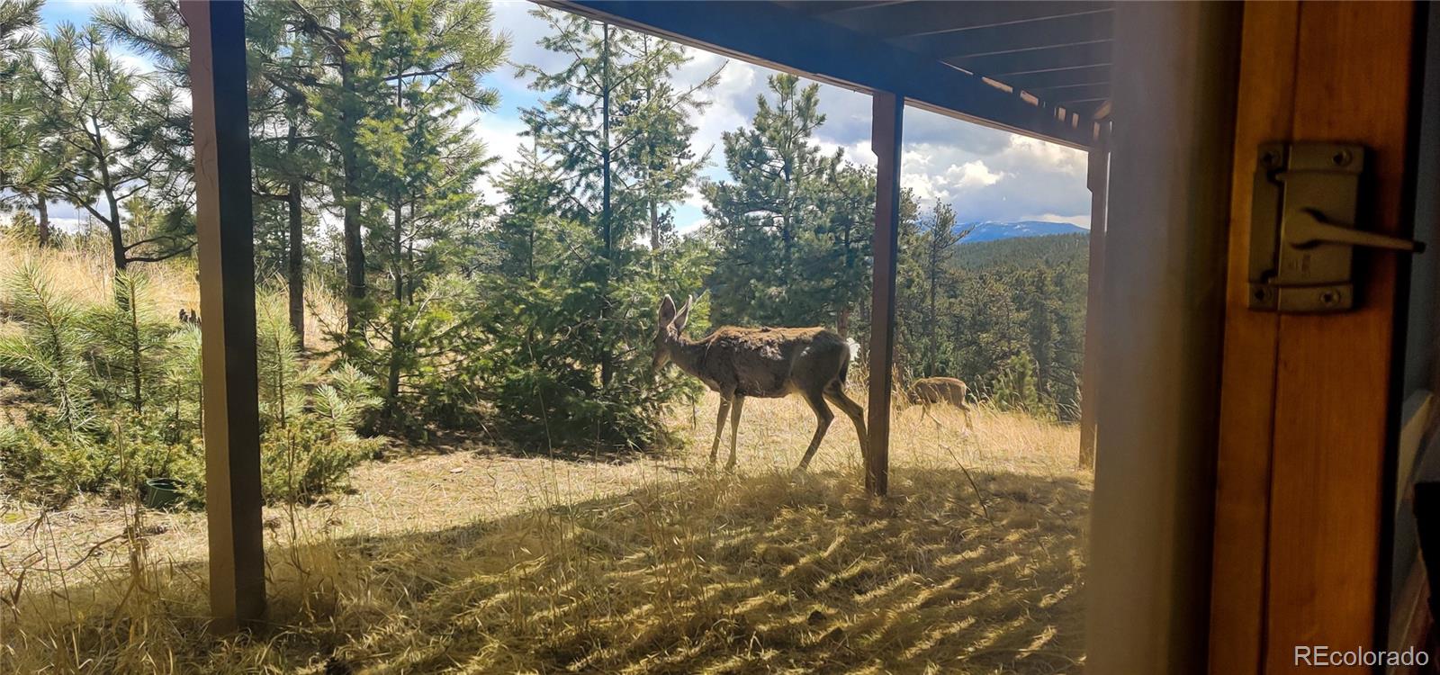 62 Old Corral Road Bailey, CO 80421 - Photo 30 of 35