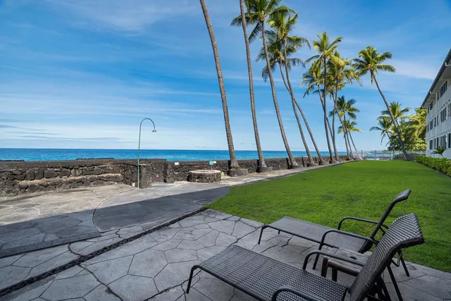 a view of a backyard and floor to ceiling windows