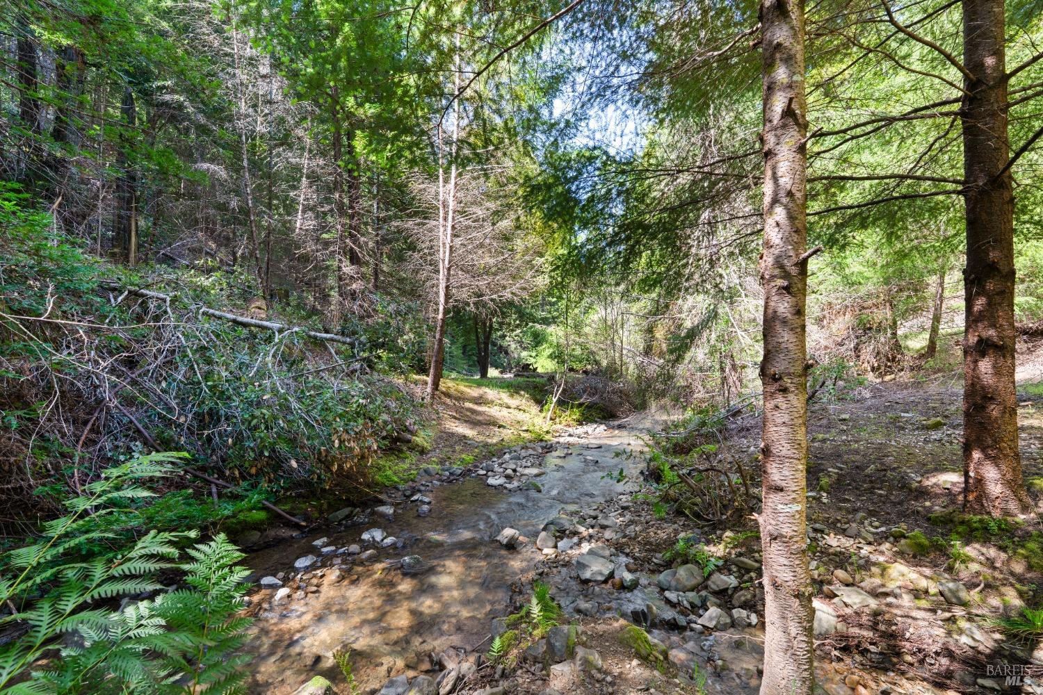 9655 Peachland Road Boonville, CA 95415 - Photo 38 of 40 a view of a forest filled with trees