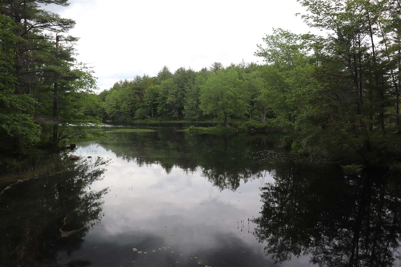 Forest Road Greenfield, NH 03047 - Photo 2 of 32