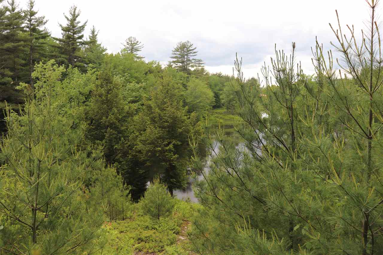 Forest Road Greenfield, NH 03047 - Photo 17 of 32