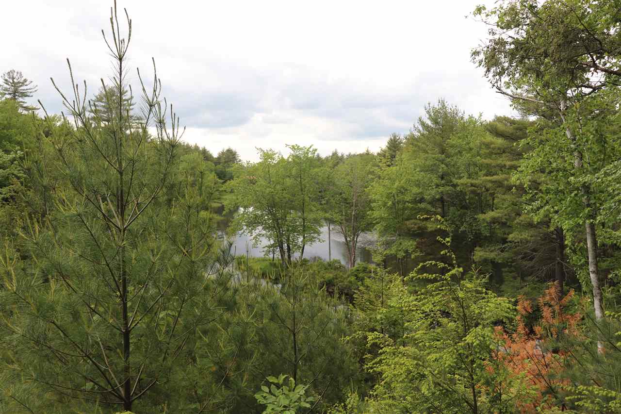 Forest Road Greenfield, NH 03047 - Photo 18 of 32