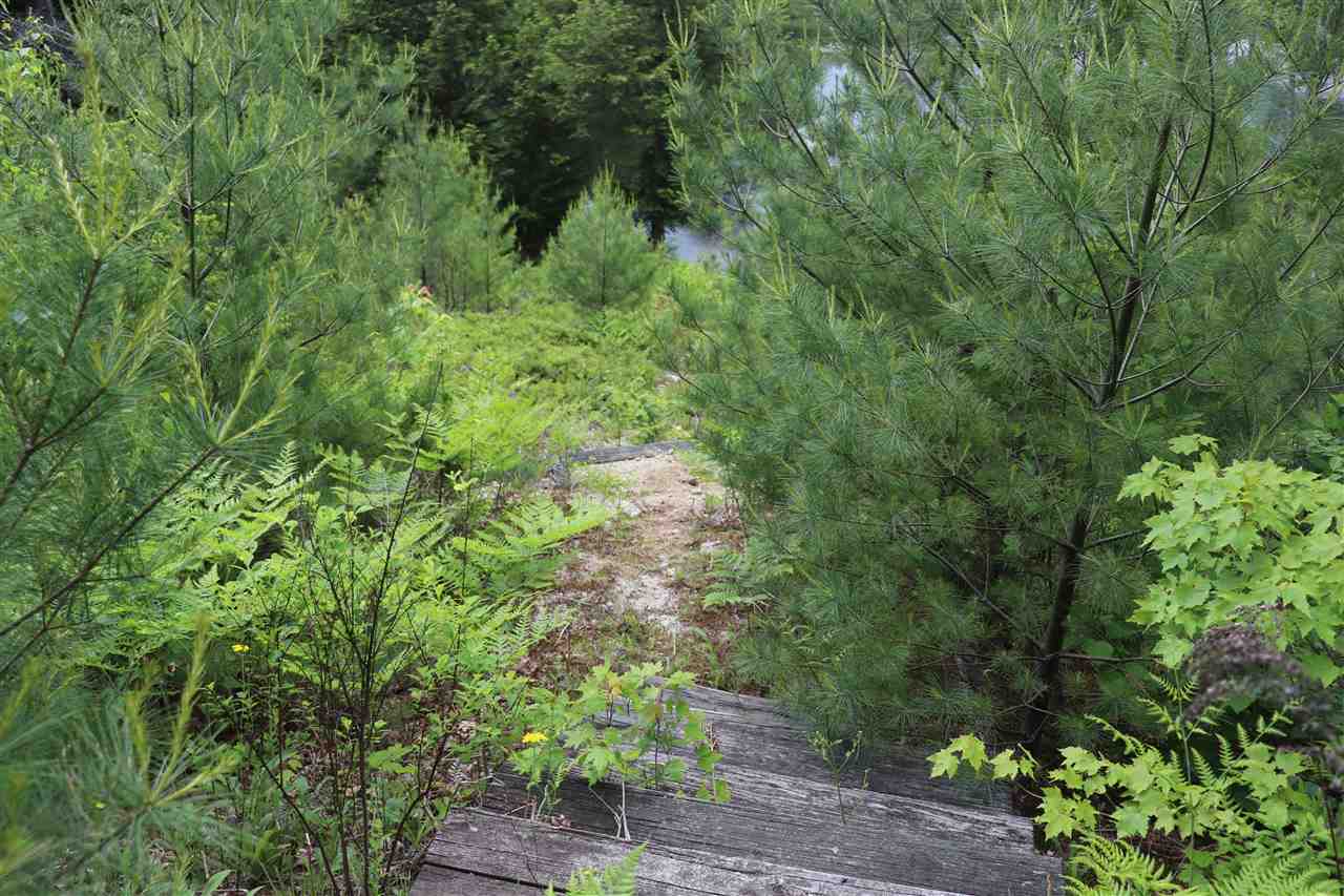 Forest Road Greenfield, NH 03047 - Photo 19 of 32