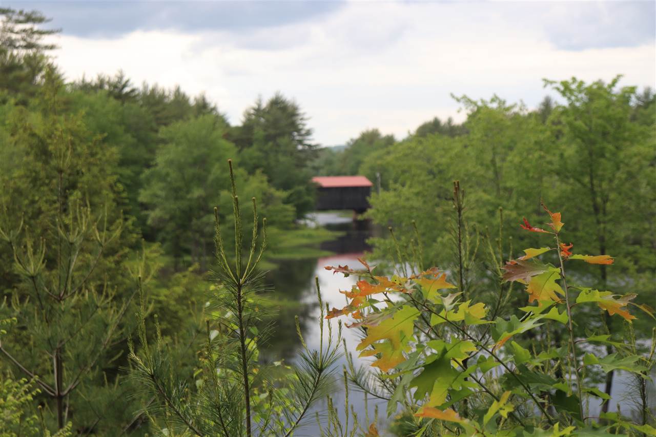 Forest Road Greenfield, NH 03047 - Photo 20 of 32