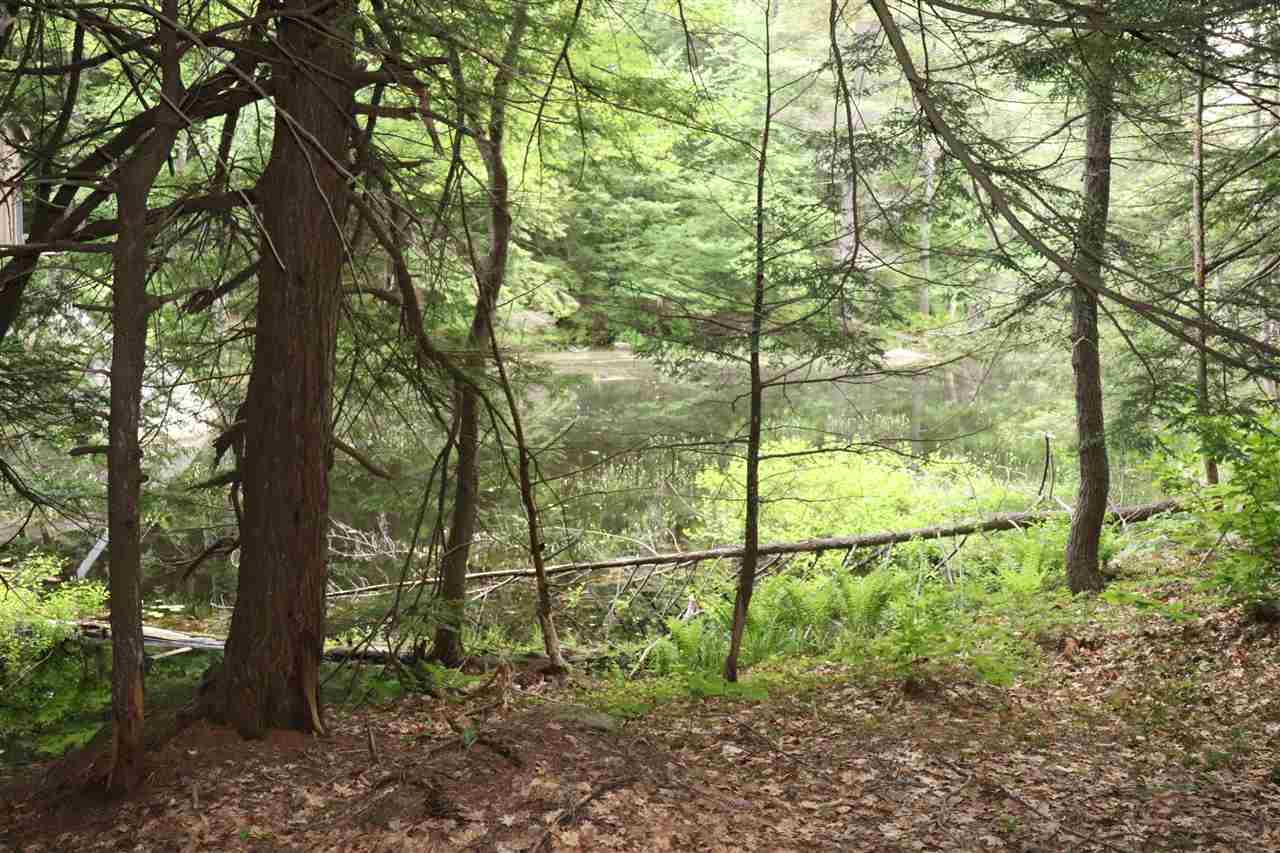 Forest Road Greenfield, NH 03047 - Photo 25 of 32