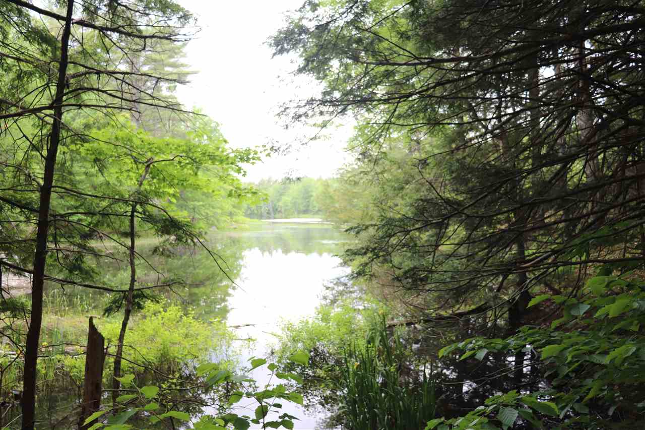 Forest Road Greenfield, NH 03047 - Photo 27 of 32