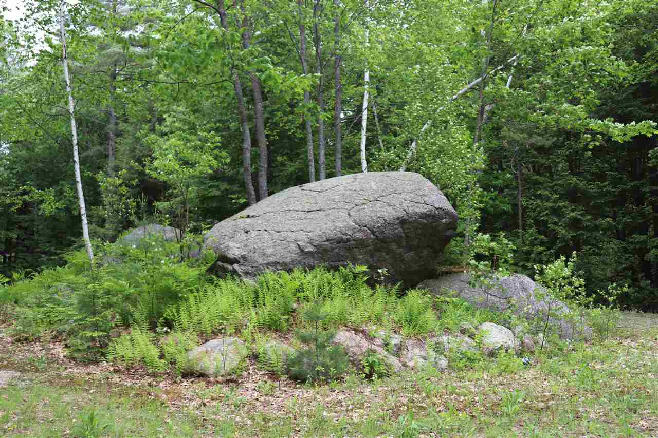 Forest Road Greenfield, NH 03047 - Photo 5 of 32