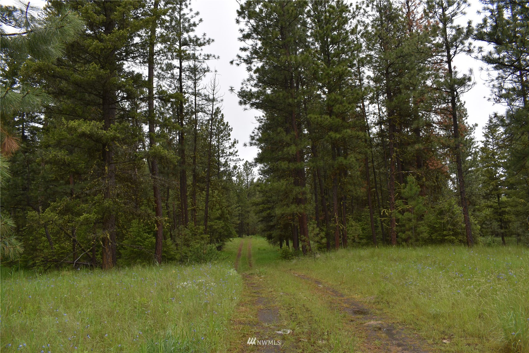 1-lot Turtle Run Road Tonasket, WA 98855 - Photo 26 of 40 Gallery Image 26