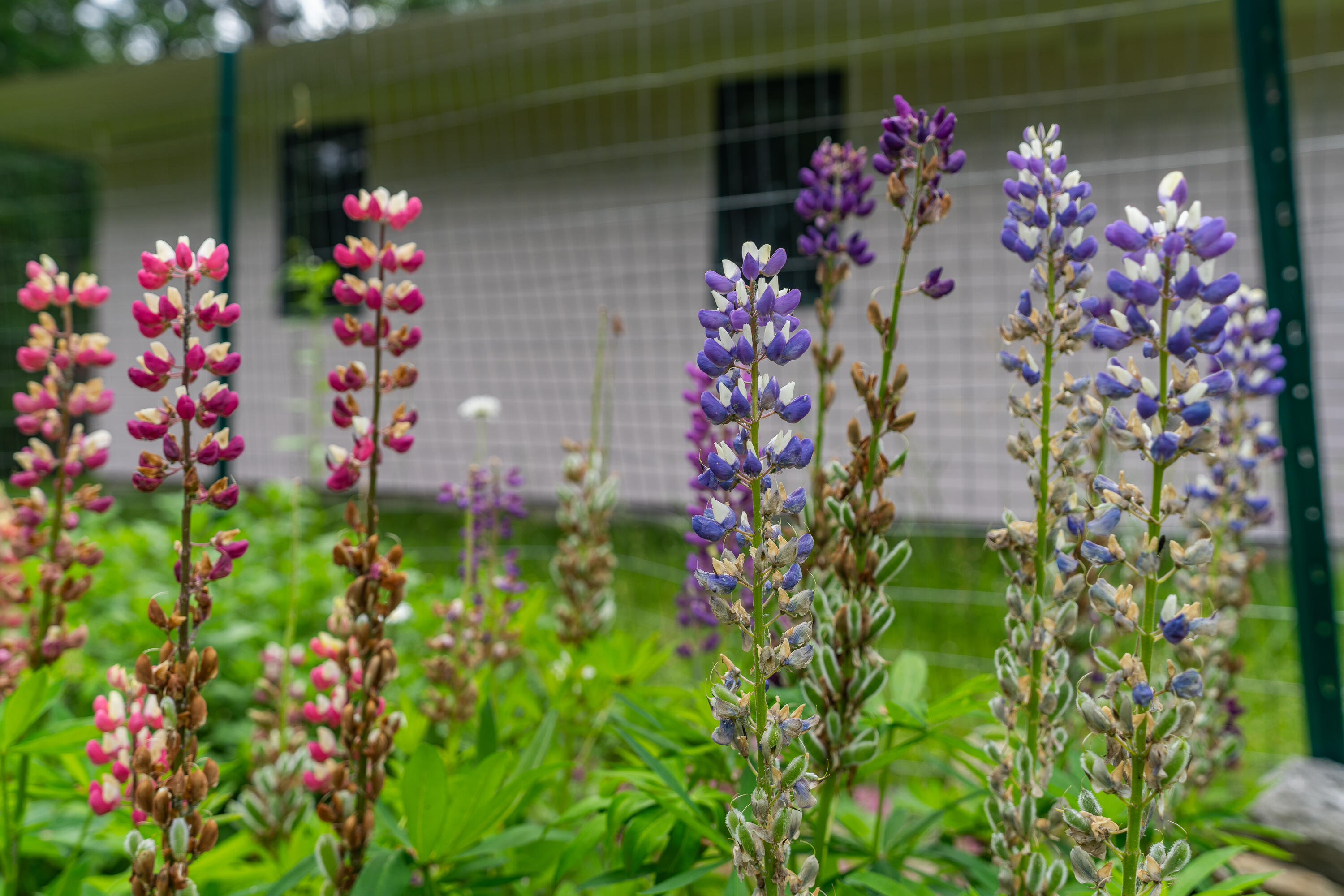52 Oak Run Road Westport Island, ME 04578 - Photo 147 of 200