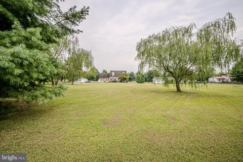 a view of yard with ocean view