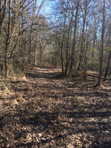 1275 Culberson Road Carthage, MS 39051 - Photo 1 of 1 Main View