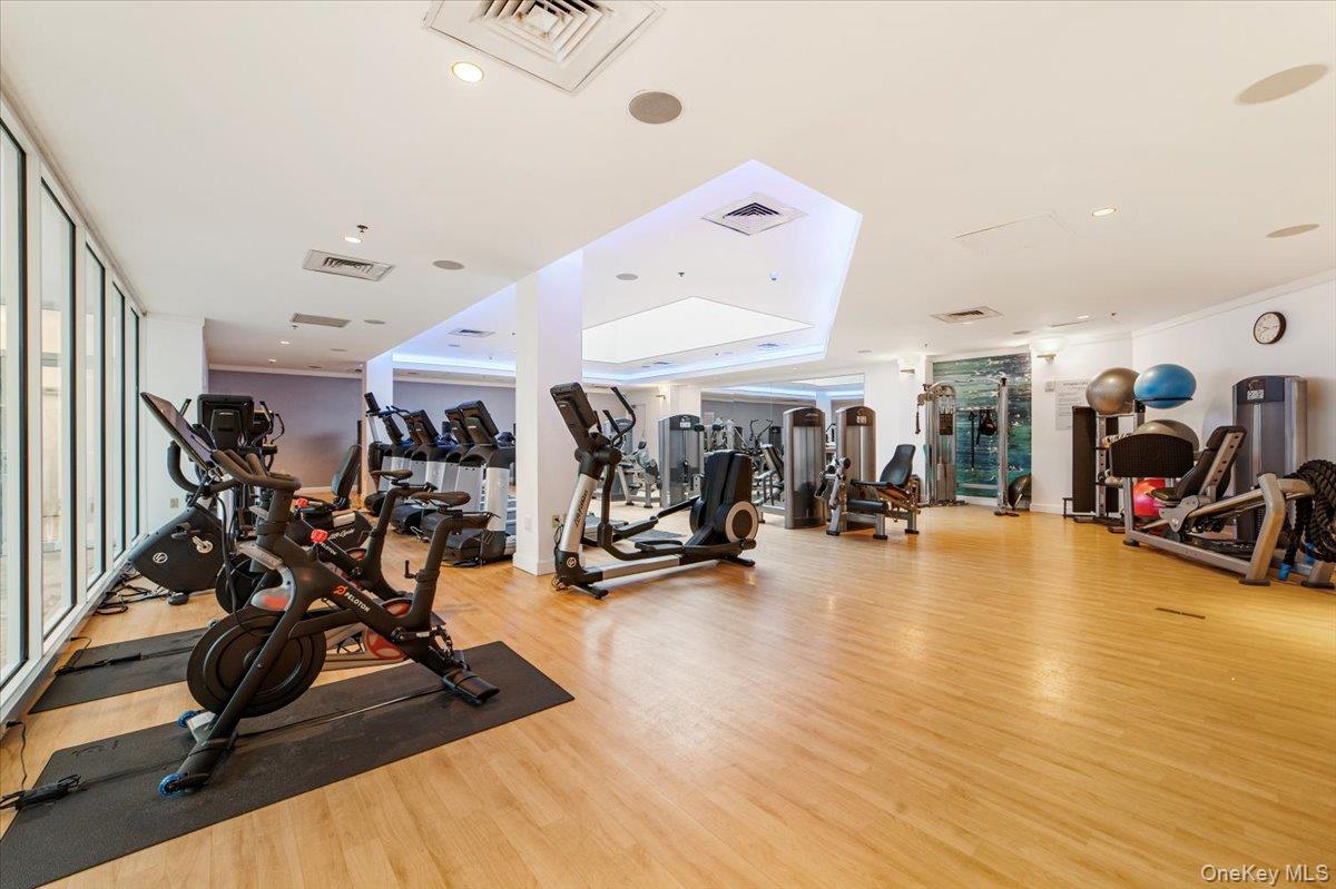 1 Renaissance Square, Unit V4E White Plains, NY 10601 - Photo 21 of 26 Fitness Center