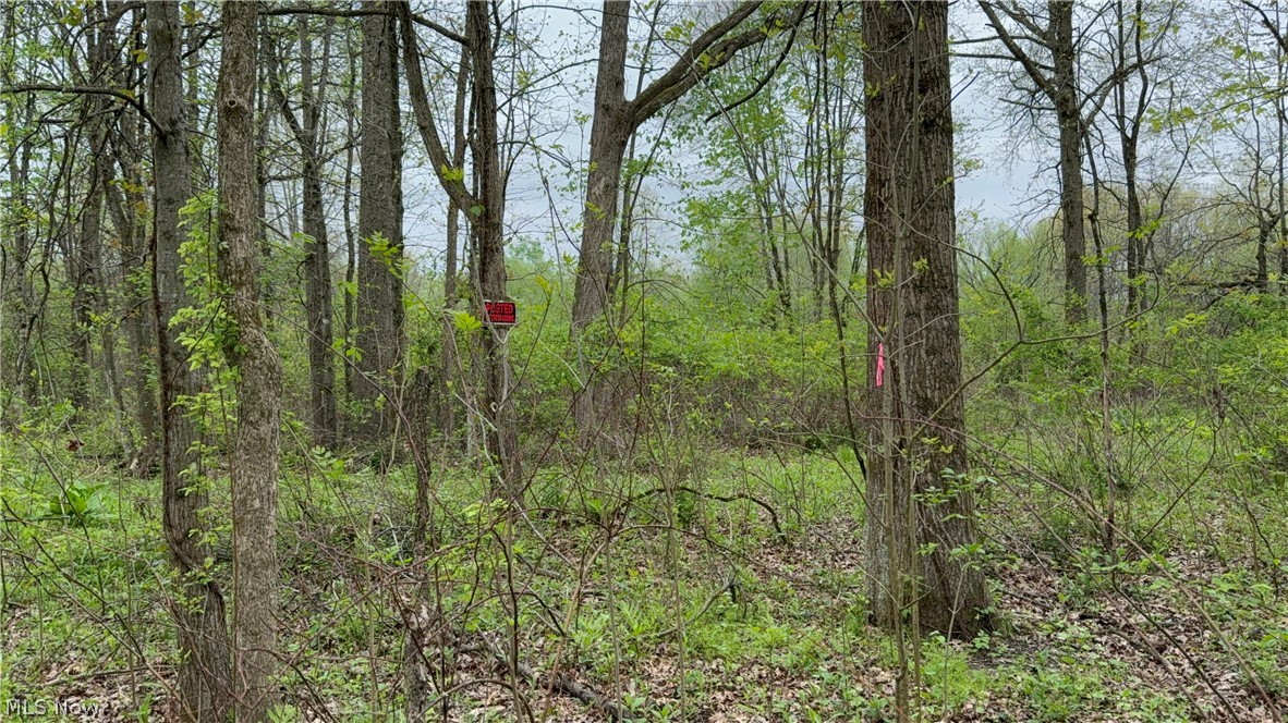 V/l Donley Road Middlefield, OH 44062 - Photo 23 of 30