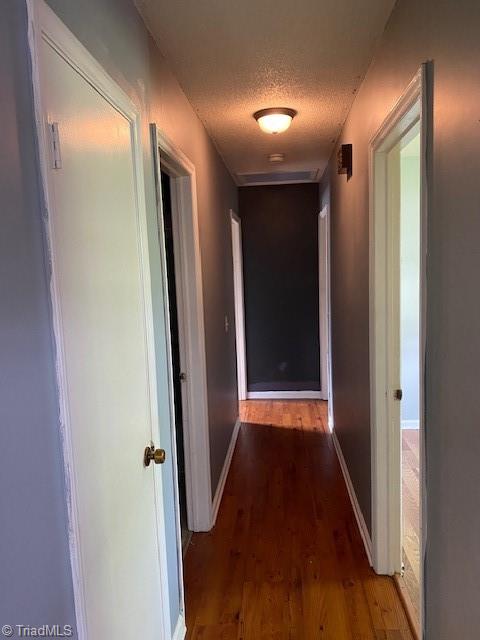 1044 Traphill Road Hays, NC 28635 - Photo 5 of 11 Hallway