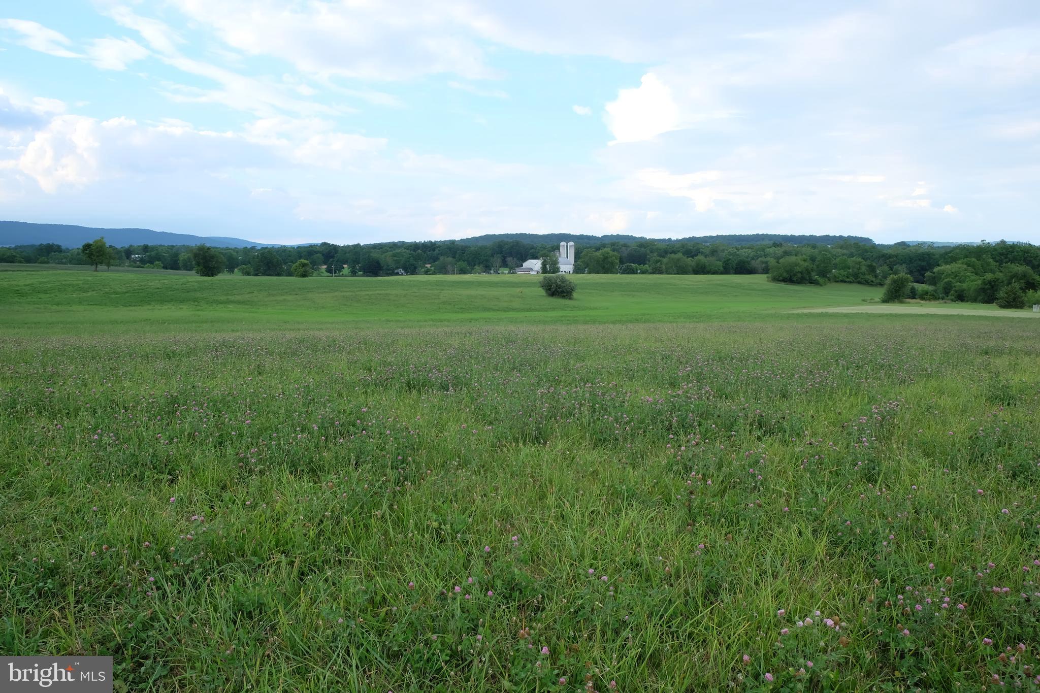 139 Ridge Road Dillsburg, PA 17019 - Photo 2 of 11