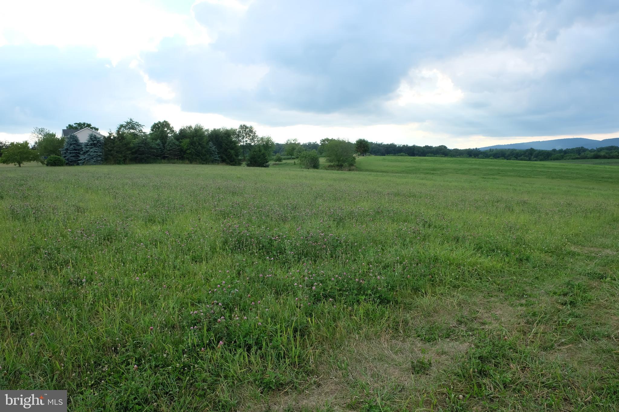139 Ridge Road Dillsburg, PA 17019 - Photo 3 of 11