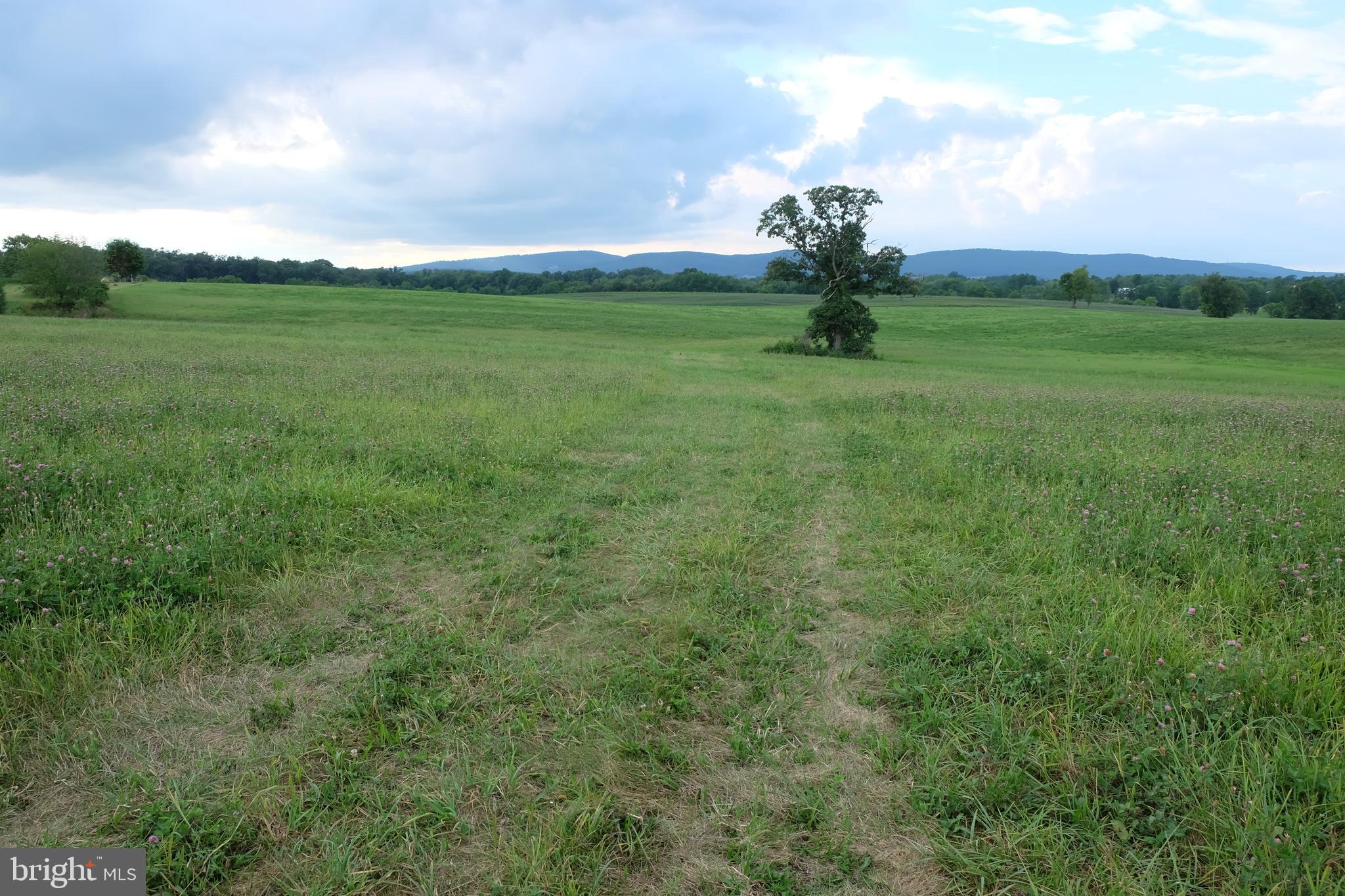 139 Ridge Road Dillsburg, PA 17019 - Photo 4 of 11