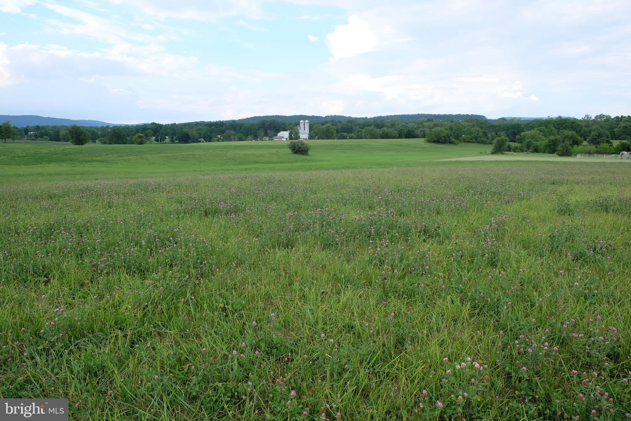 139 Ridge Road Dillsburg, PA 17019 - Photo 7 of 11