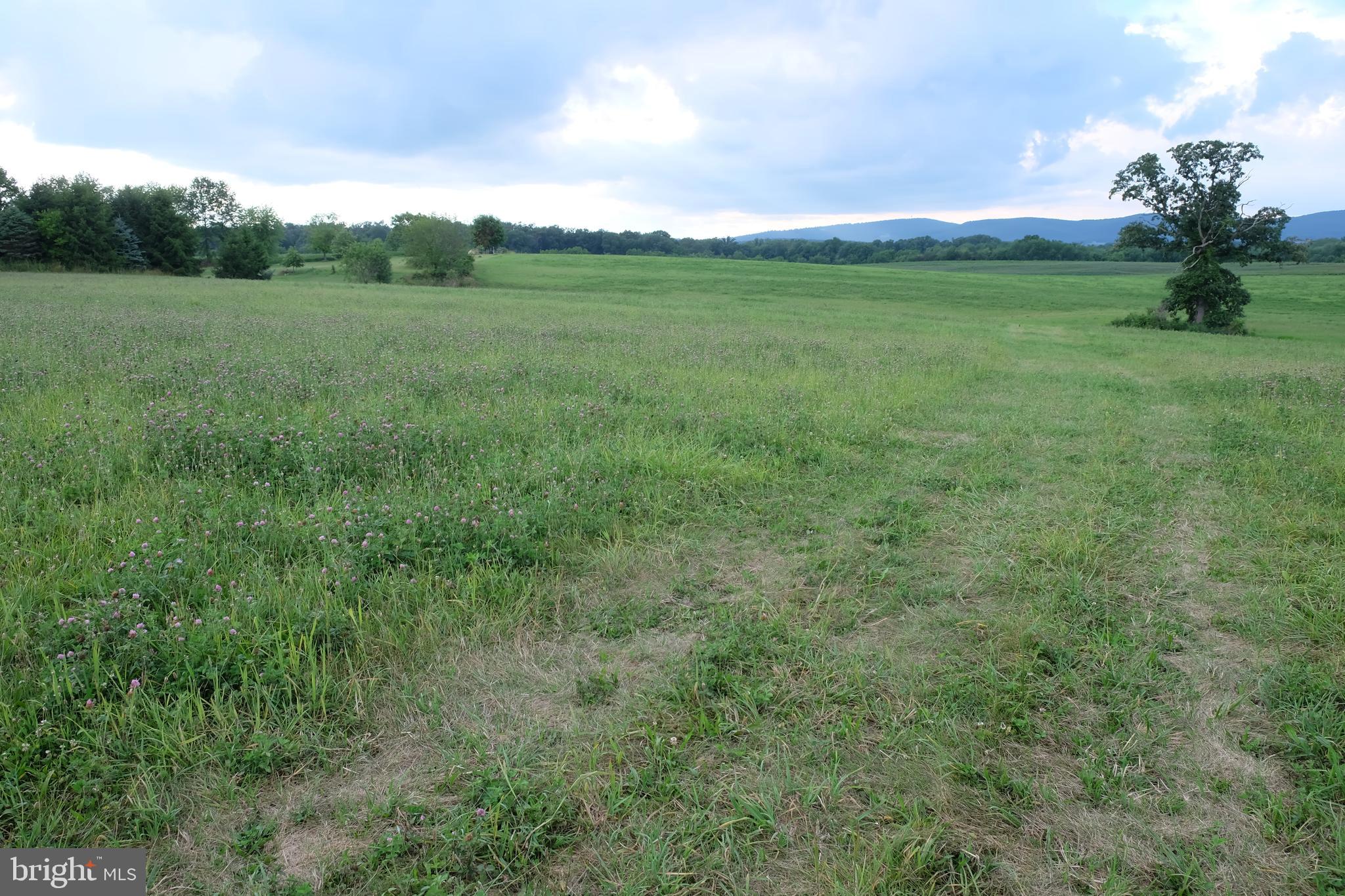 139 Ridge Road Dillsburg, PA 17019 - Photo 8 of 11