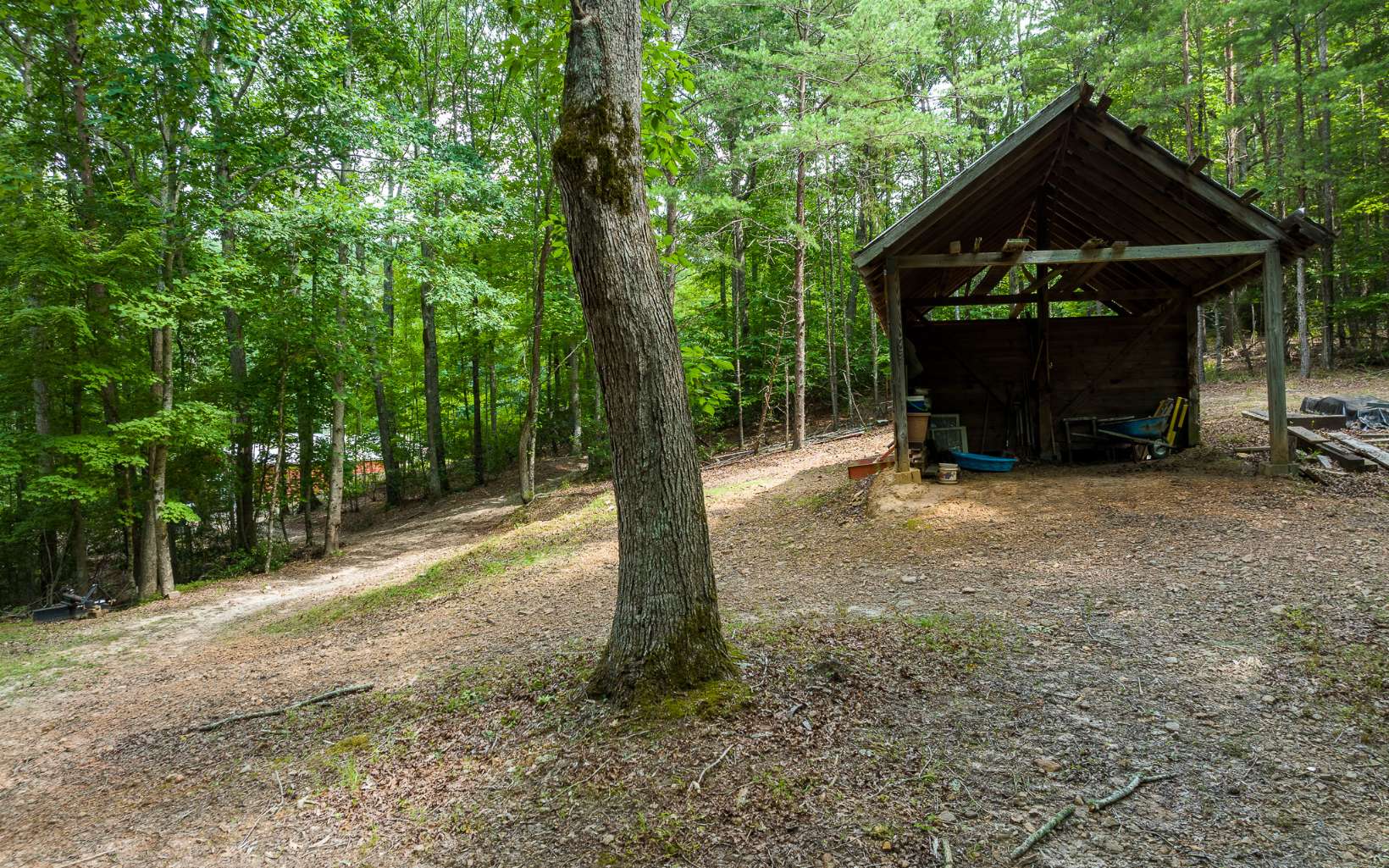 994 Stover Creek Cove Blue Ridge, GA 30513 - Photo 47 of 52 Additional View