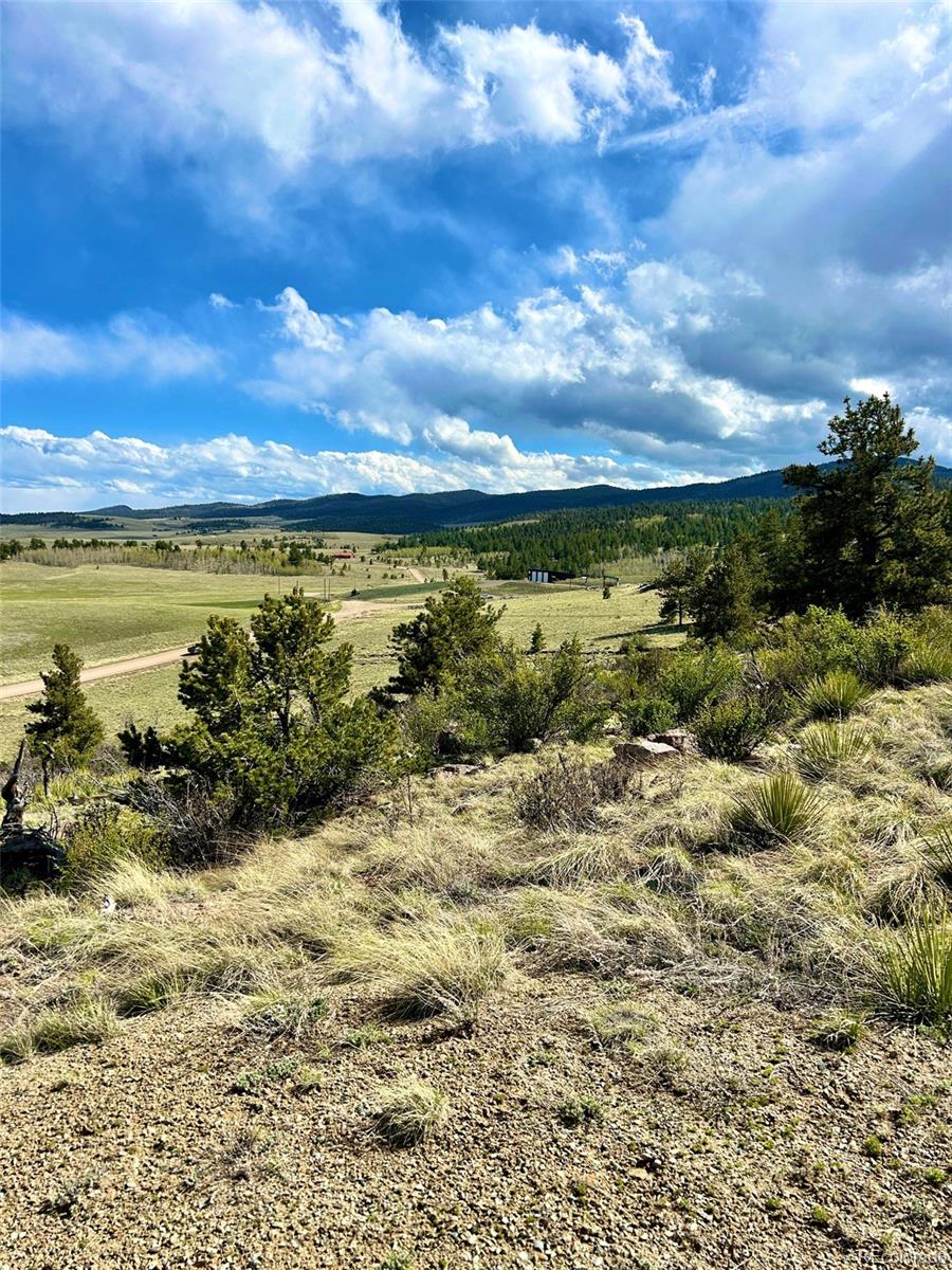 4641 Ranch Road Hartsel, CO 80449 - Photo 9 of 33