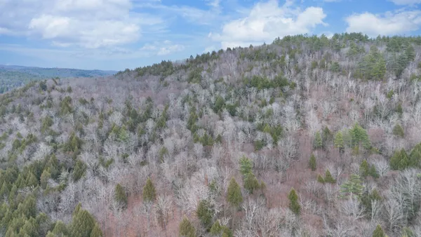 $210,000 | 0 Route 100 Jamaica Vt 05343, Jamaica, VT 05343