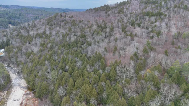 $210,000 | 0 Route 100 Jamaica Vt 05343, Jamaica, VT 05343