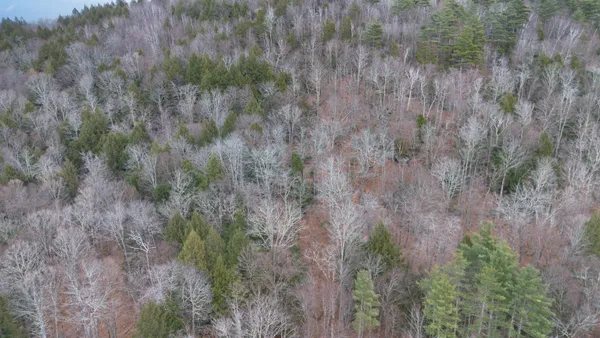 $210,000 | 0 Route 100 Jamaica Vt 05343, Jamaica, VT 05343