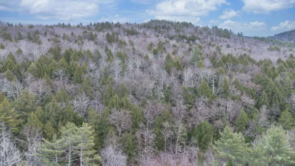 $210,000 | 0 Route 100 Jamaica Vt 05343, Jamaica, VT 05343