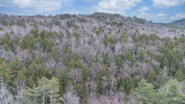 $210,000 | 0 Route 100 Jamaica Vt 05343, Jamaica, VT 05343