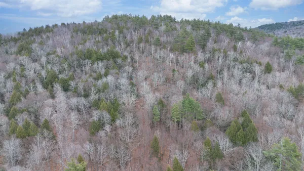 $210,000 | 0 Route 100 Jamaica Vt 05343, Jamaica, VT 05343