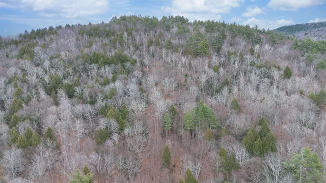 $210,000 | 0 Route 100 Jamaica Vt 05343, Jamaica, VT 05343