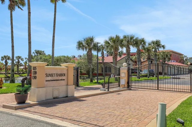 a view of a park with palm trees
