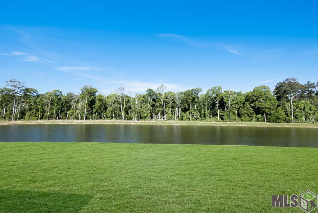 28421 Middlebrook Way Denham Springs, LA 70726 - Photo 3 of 21