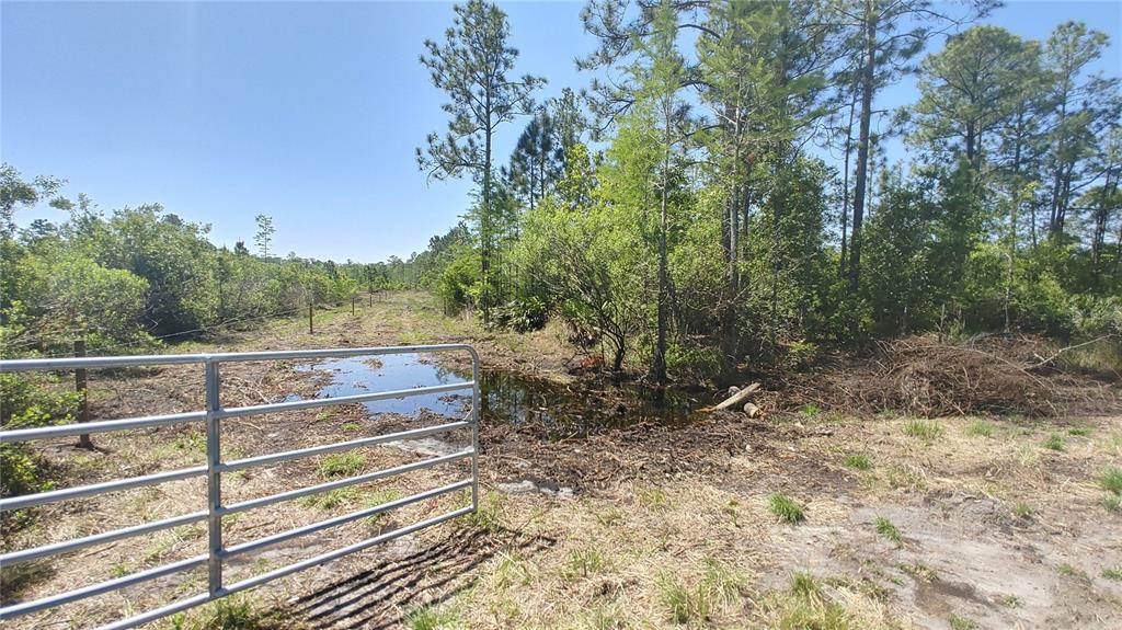 1001 Omega Ranch Road, Unit 16 Deltona, FL 32738 - Photo 4 of 12 Gallery Image 4