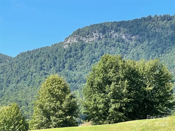 a view of a field