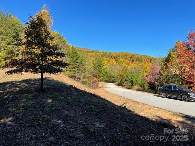 0 Birkdale Drive, Unit 159 Mill Spring, NC 28756 - Photo 16 of 22 a view of a road with a mountain in the background