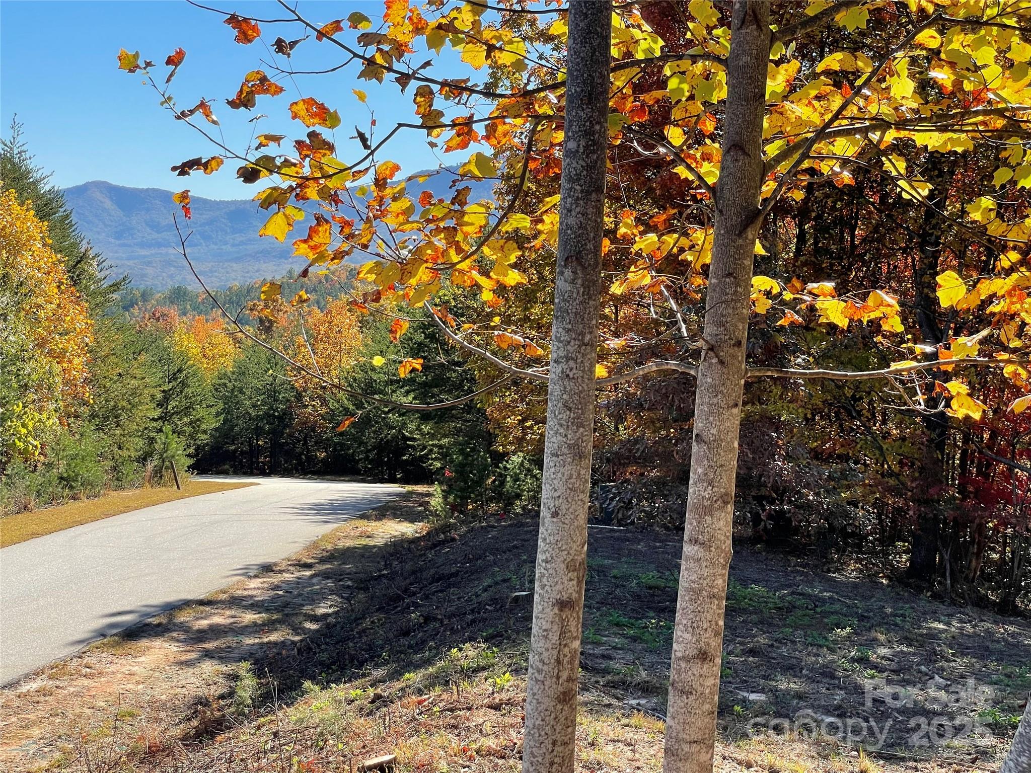 0 Birkdale Drive, Unit 159 Mill Spring, NC 28756 - Photo 18 of 22 a view of a tree with a yard
