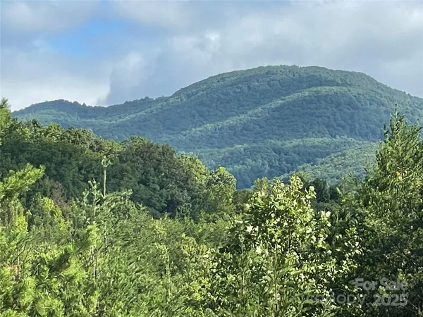 a view of a lush green hillside and a mountain