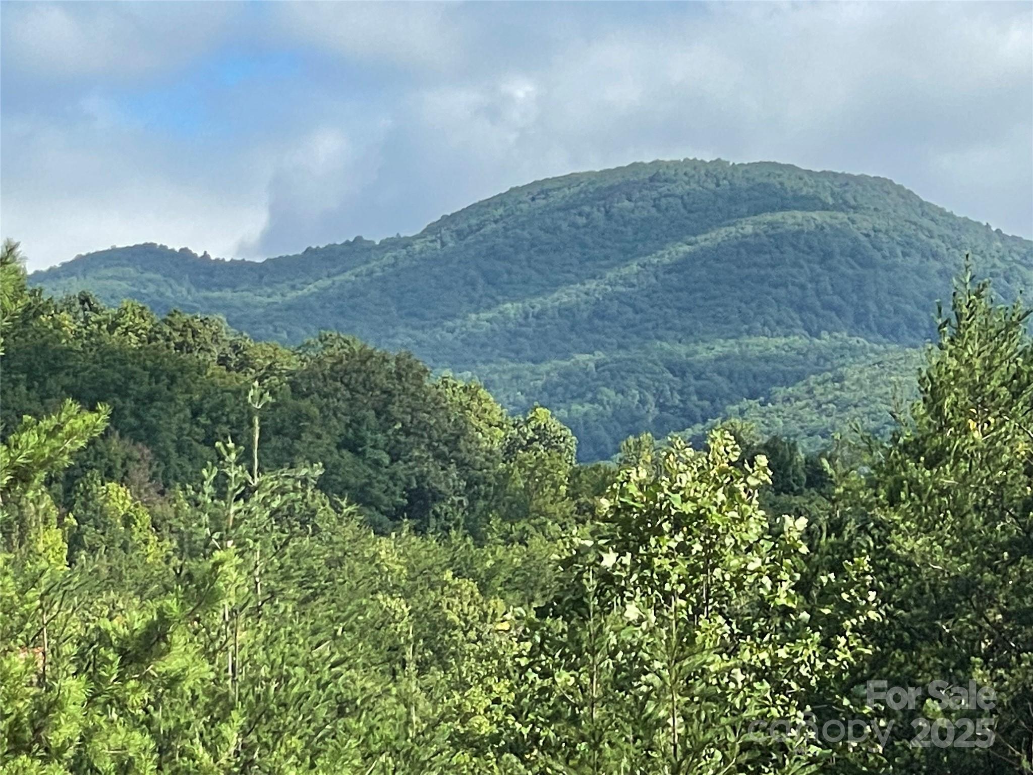 0 Birkdale Drive, Unit 159 Mill Spring, NC 28756 - Photo 4 of 22 a view of a lush green hillside and a mountain