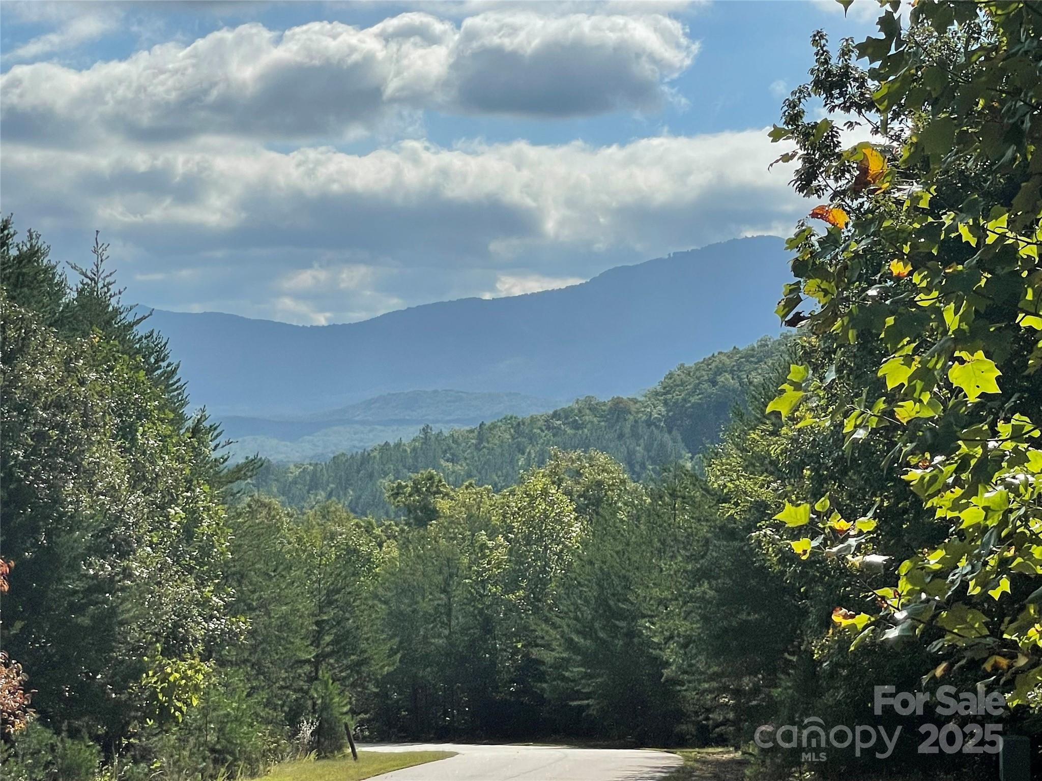 0 Birkdale Drive, Unit 159 Mill Spring, NC 28756 - Photo 6 of 22 a view of a city and mountains