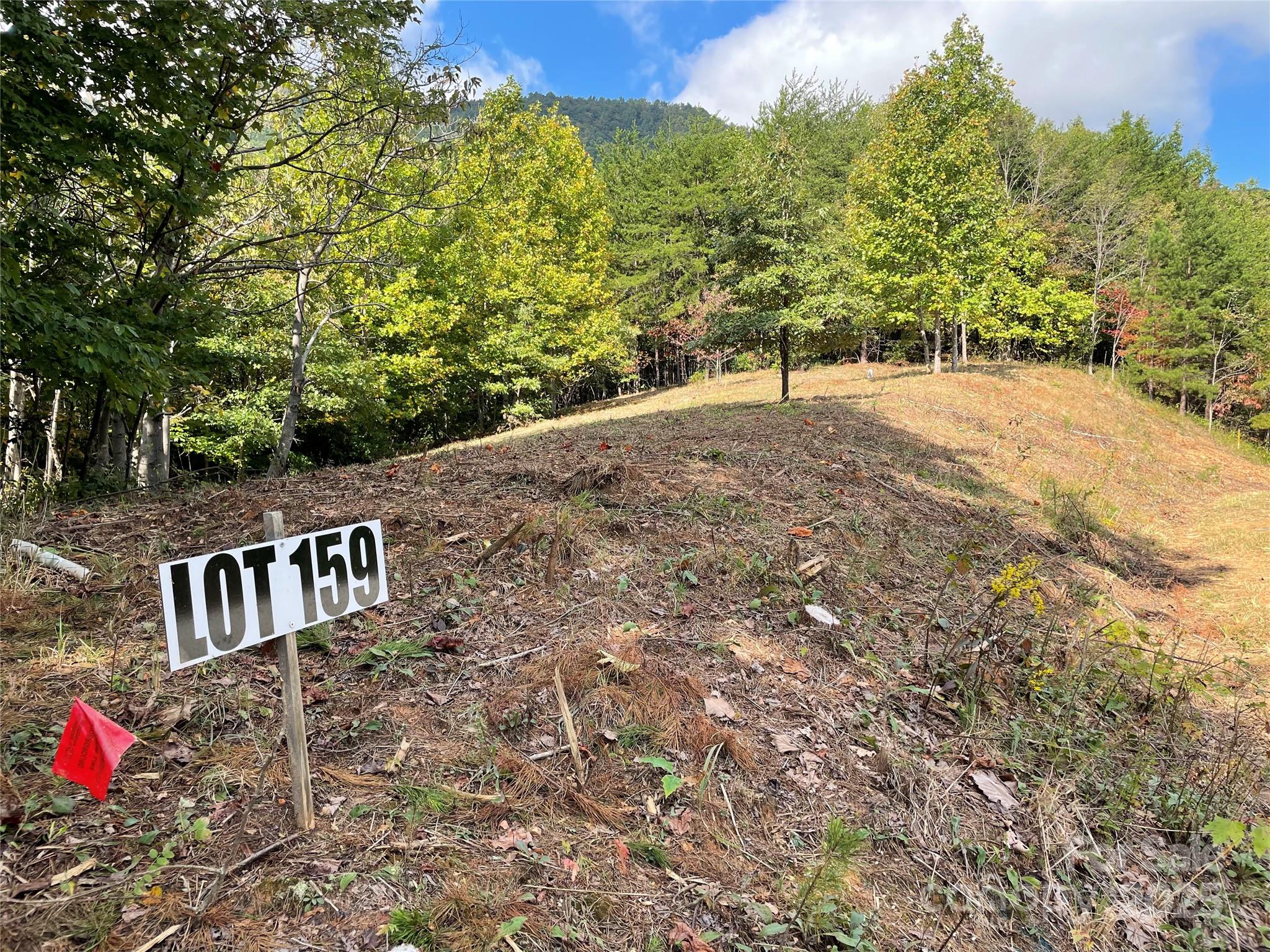 0 Birkdale Drive, Unit 159 Mill Spring, NC 28756 - Photo 8 of 22 a view of an outdoor space and yard