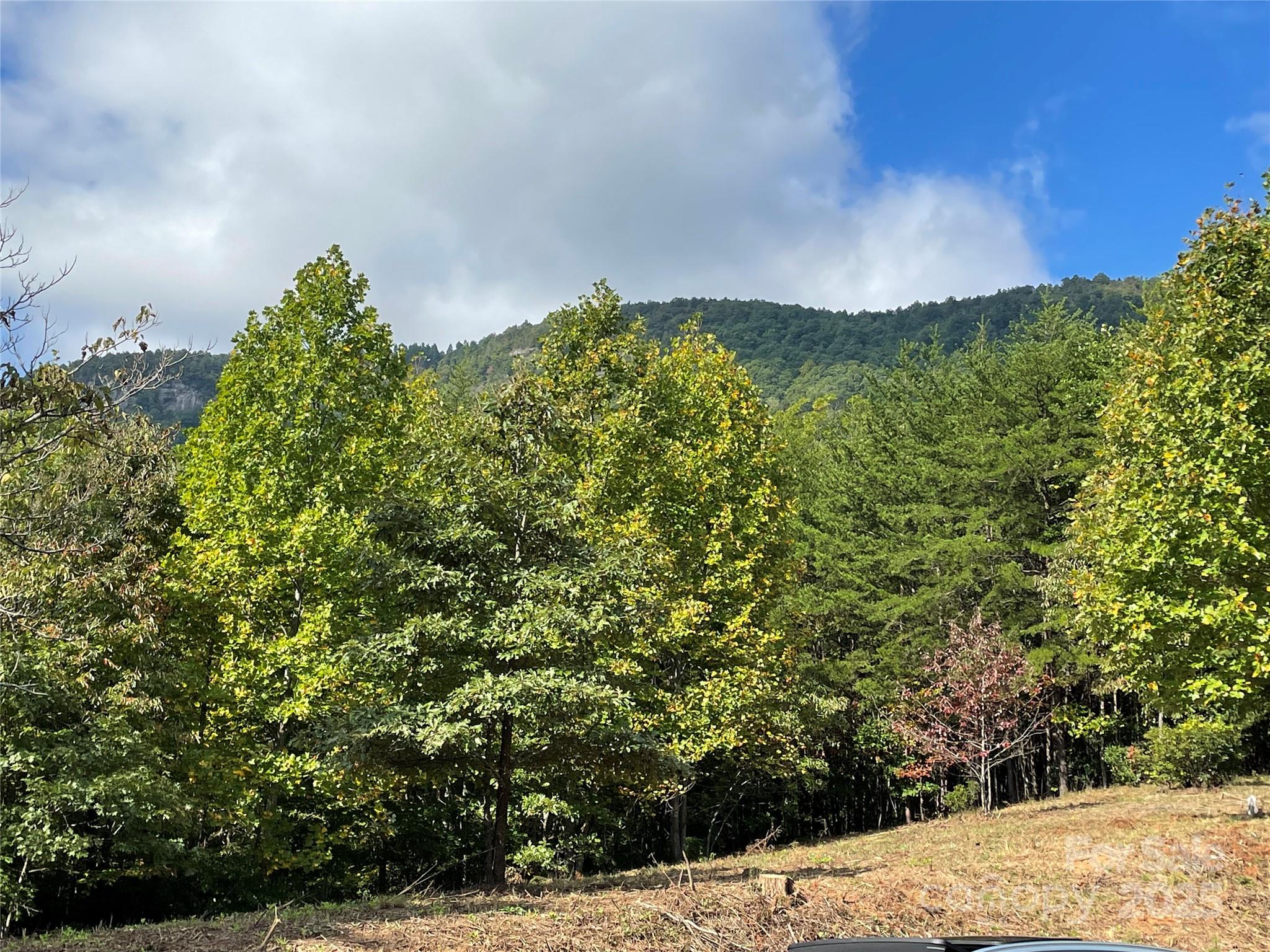0 Birkdale Drive, Unit 159 Mill Spring, NC 28756 - Photo 10 of 22 a view of a field