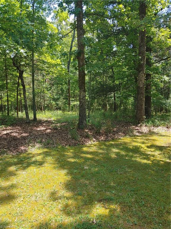 1810 Hauser Road Lewisville, NC 27023 - Photo 11 of 26 Gallery Image 11