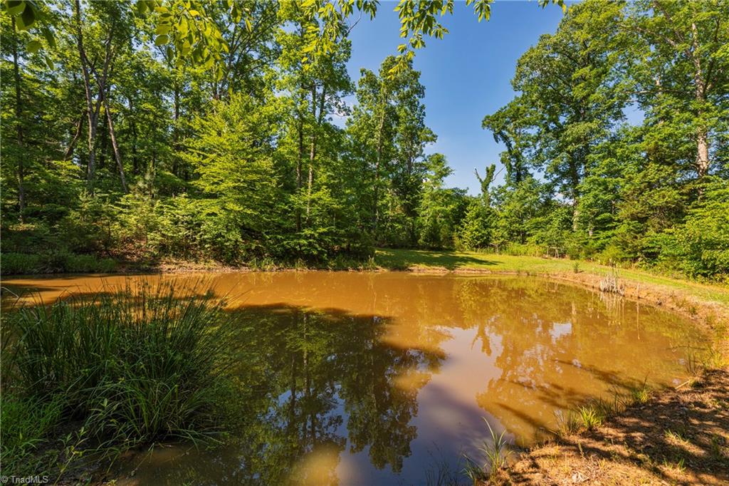1810 Hauser Road Lewisville, NC 27023 - Photo 26 of 26 Gallery Image 26