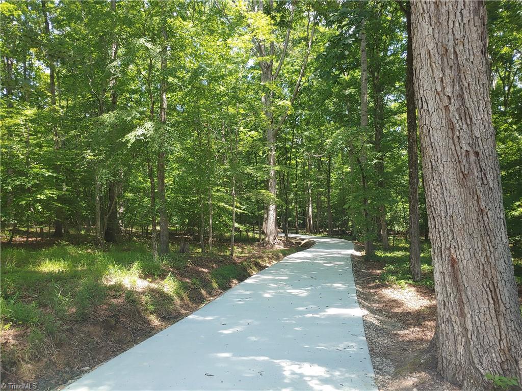 1810 Hauser Road Lewisville, NC 27023 - Photo 10 of 26 Gallery Image 10