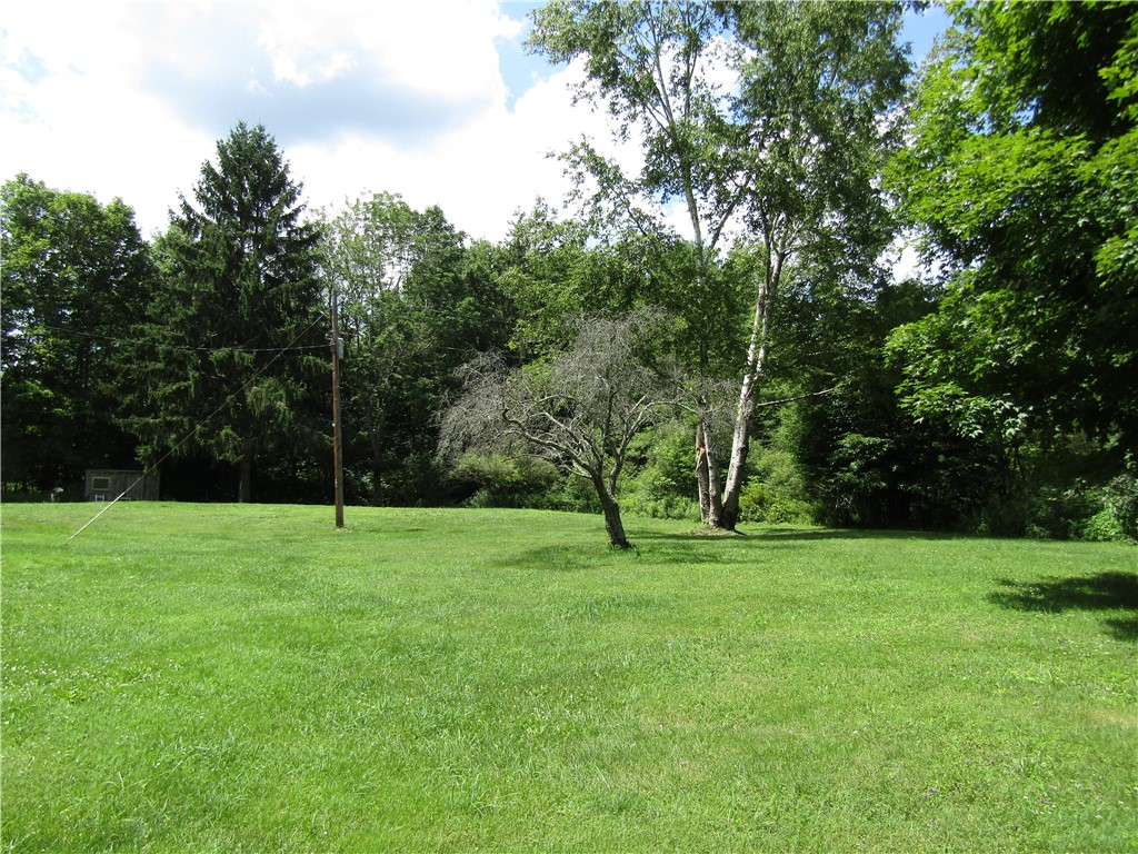 817 Munn Road Hamden, NY 13856 - Photo 33 of 50 Plenty of room to play